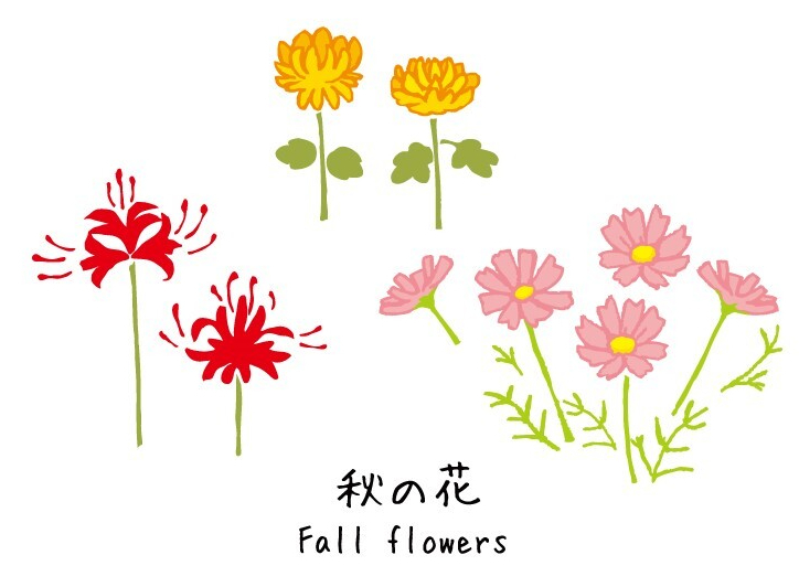 新着情報